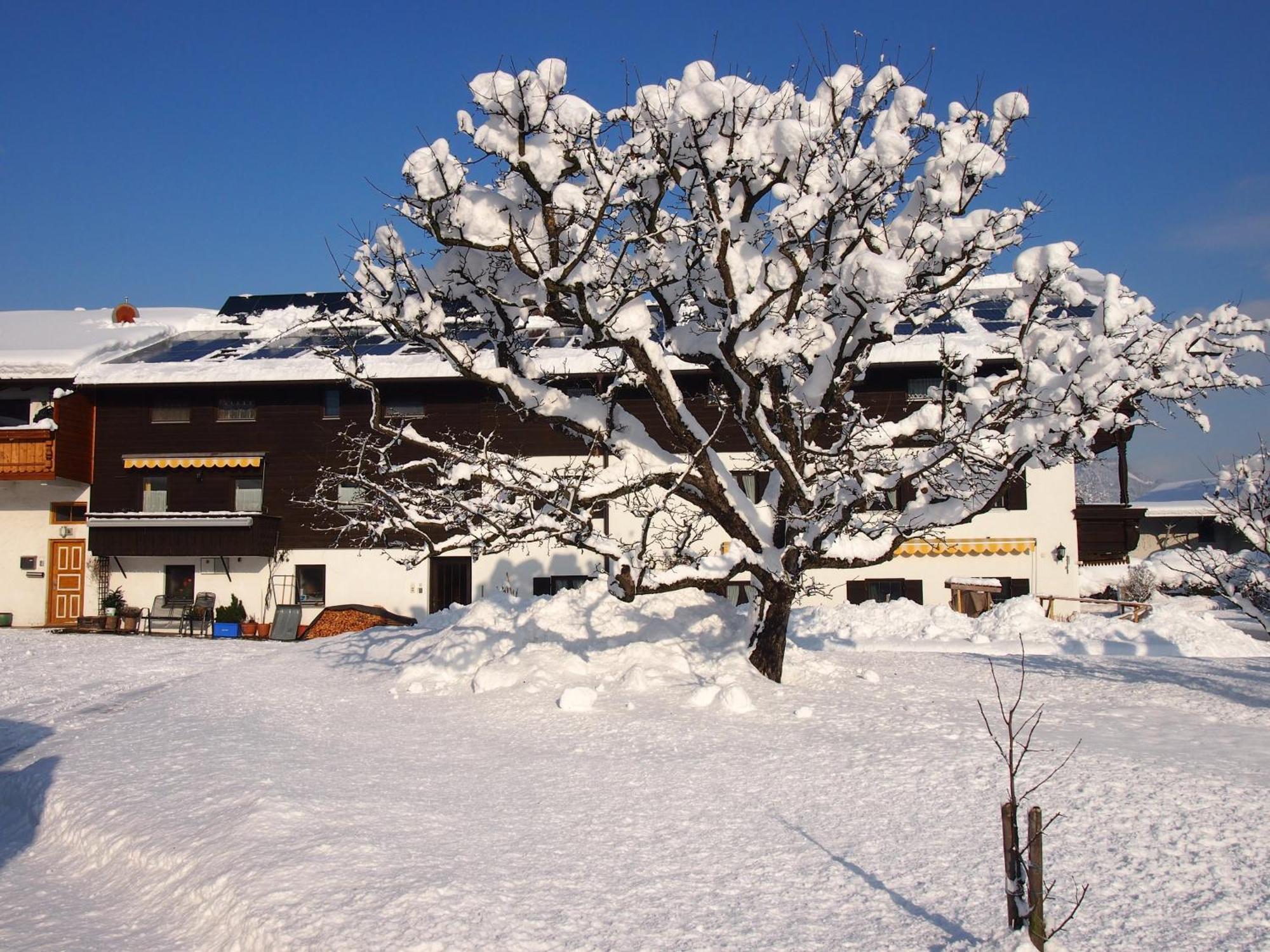 Pension Wagnerhof Oberaudorf Dış mekan fotoğraf