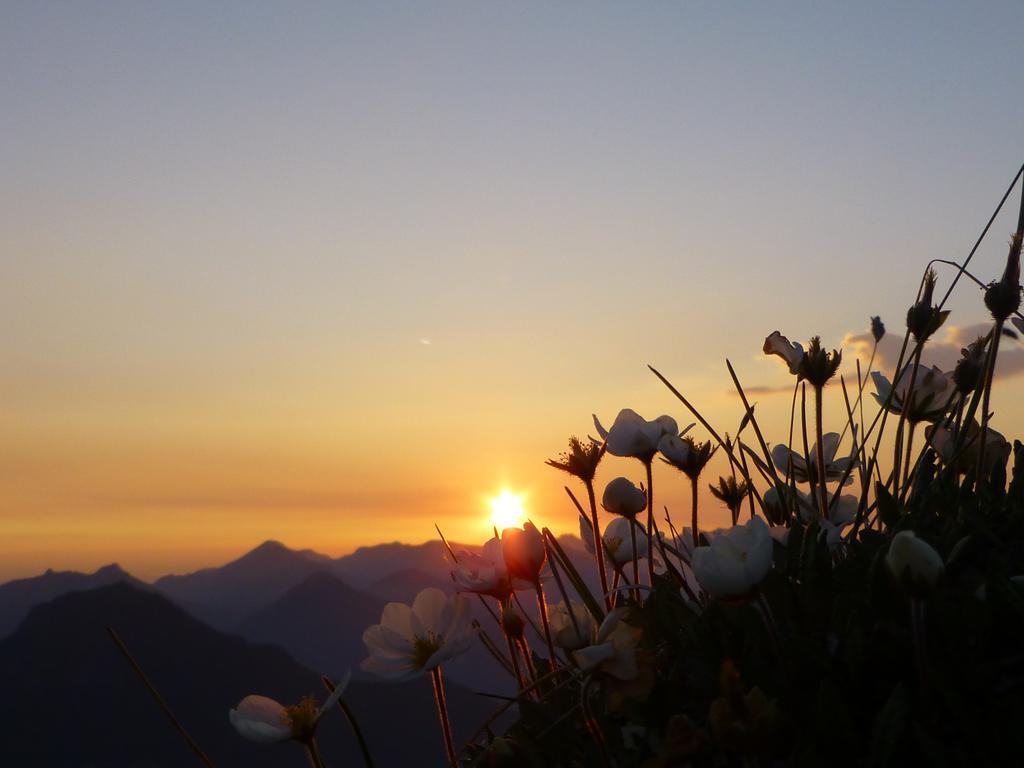 Pension Wagnerhof Oberaudorf Dış mekan fotoğraf